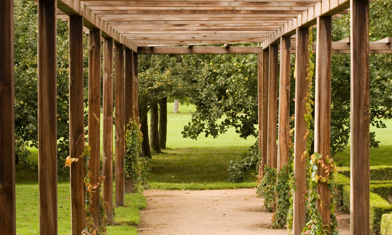 מחסן עצים בתל אביב